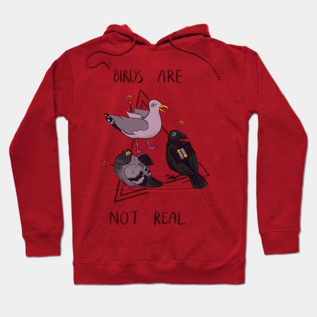 Birds are not real Hoodie by Fullocoal